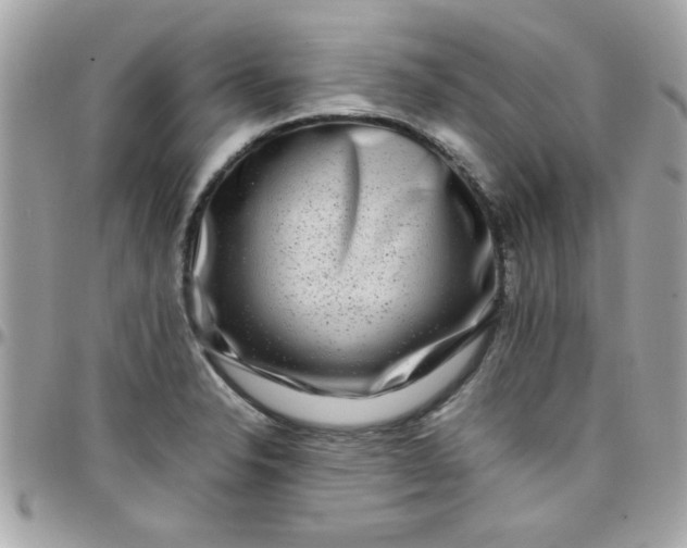 X0000097781326200803211750