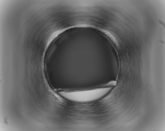 X0000097781327200803211750