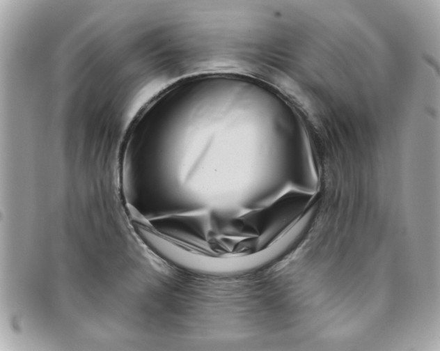 X0000097781328200803211750