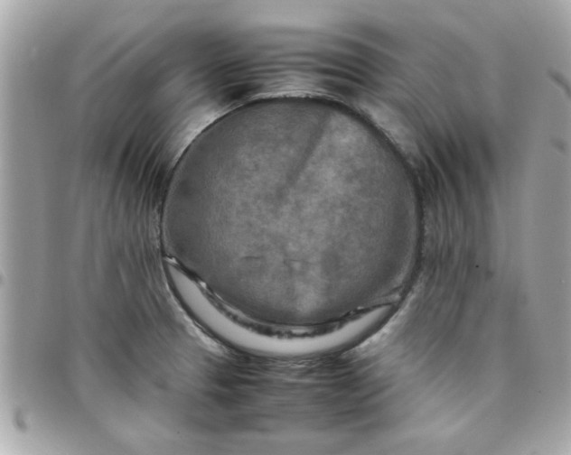 X0000097781329200803211750