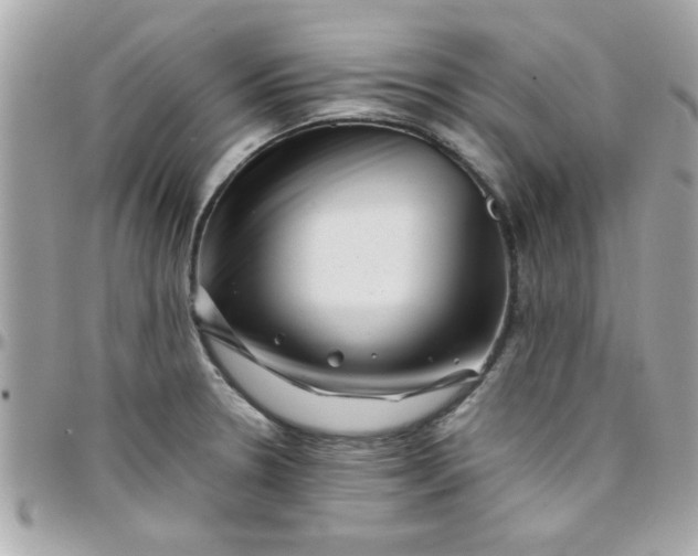 X0000097781330200803211750