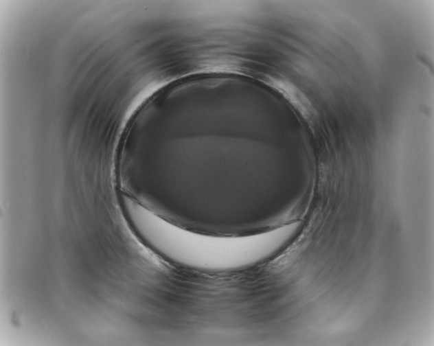 X0000097781331200803211750