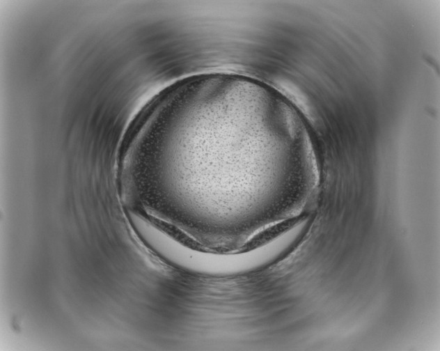 X0000097781332200803211750