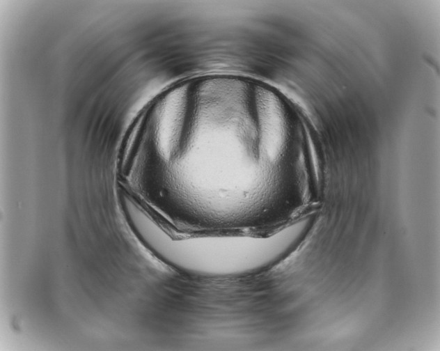 X0000097781333200803211750