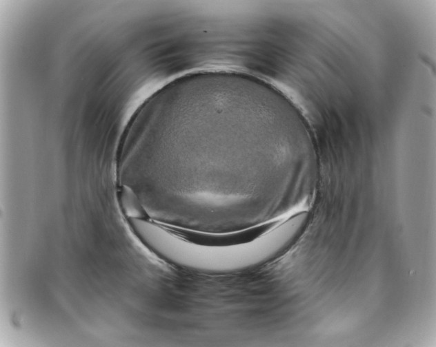 X0000097781335200803211750