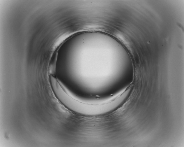 X0000097781336200803211750