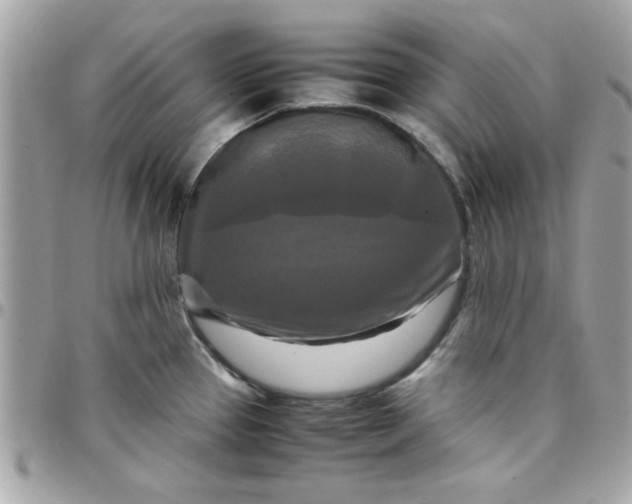 X0000097781337200803211750