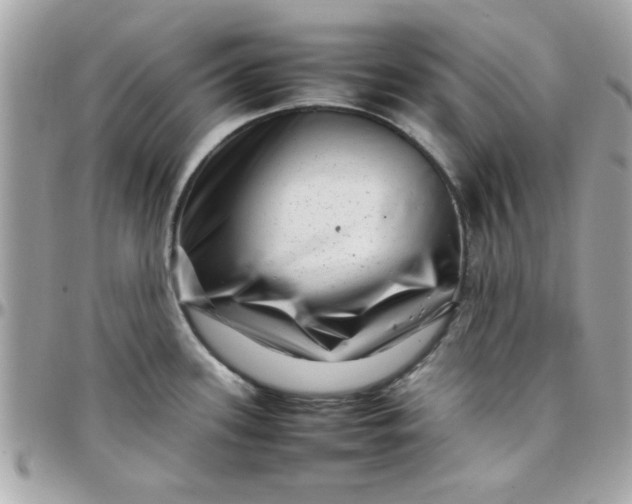 X0000097781339200803211750