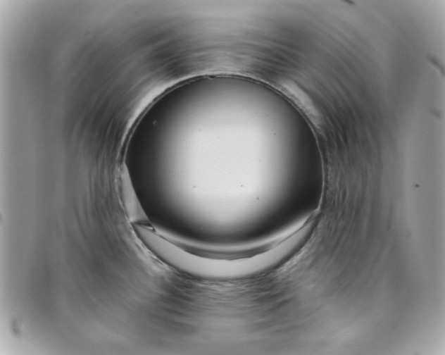 X0000097781340200803211750