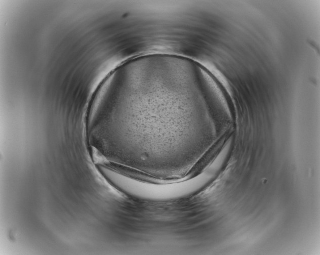 X0000097781341200803211750