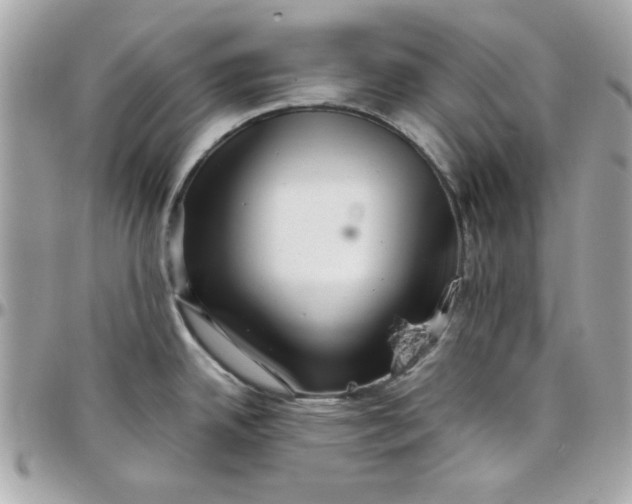 X0000097781342200803211750