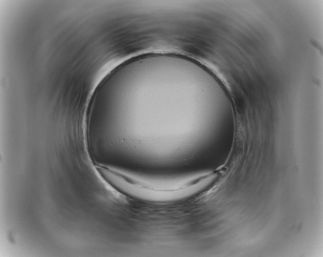 X0000097781343200803211750