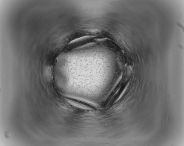 X0000097781347200803211749