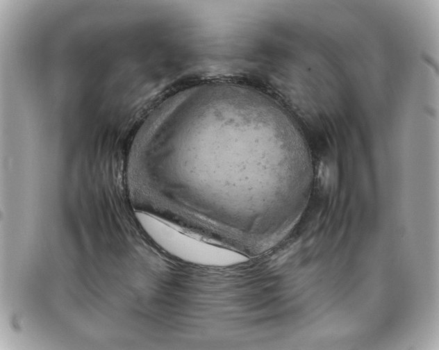 X0000097781348200803211749