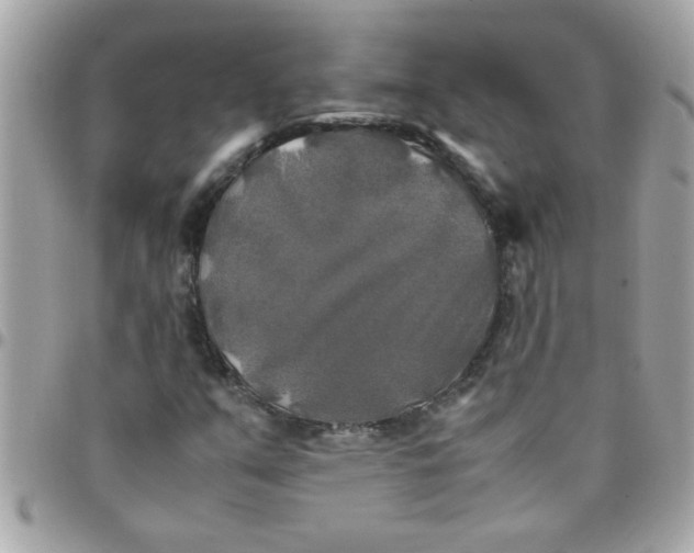 X0000097781351200803211749