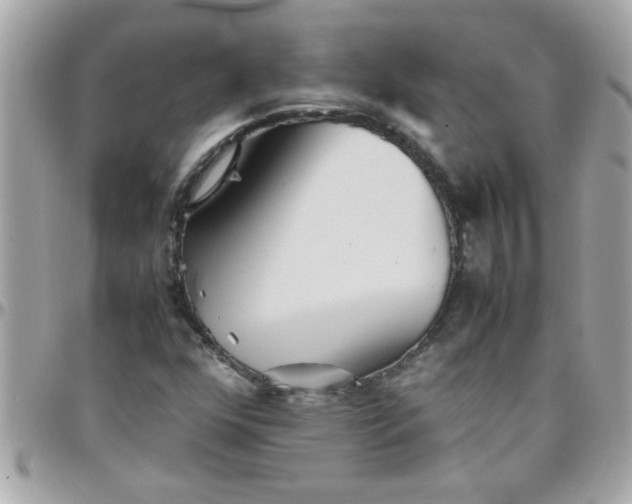 X0000097781352200803211749