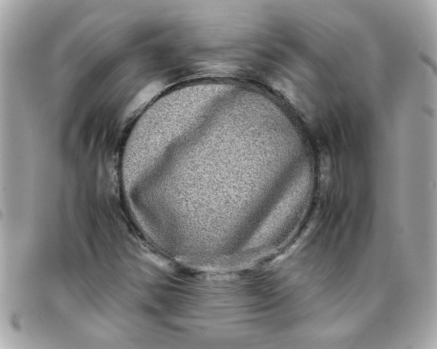 X0000097781354200803211749