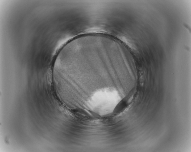 X0000097781358200803211749