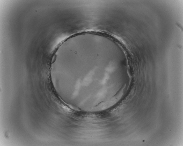 X0000097781359200803211749