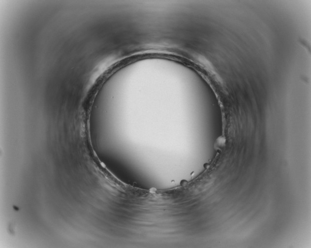 X0000097781360200803211749