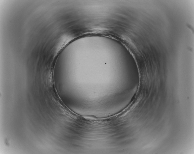 X0000097781362200803211749