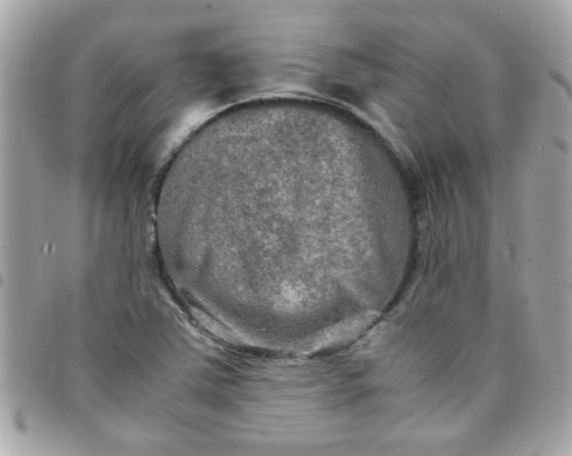 X0000097781363200803211749