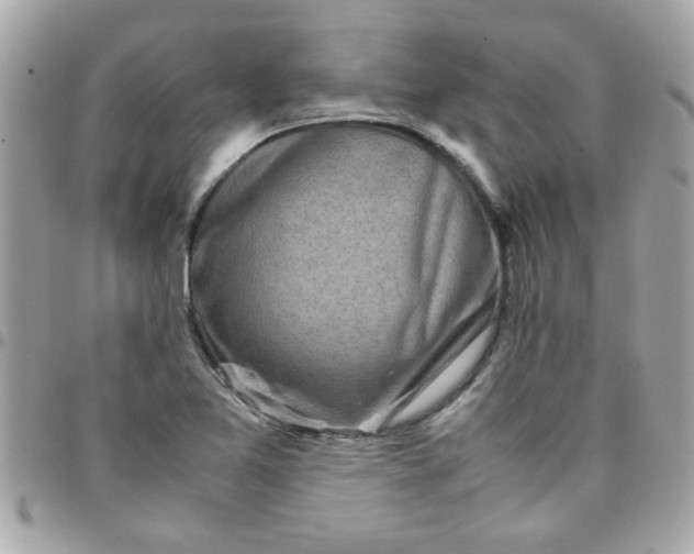 X0000097781365200803211749