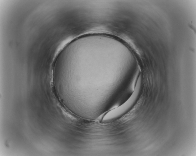 X0000097781366200803211749