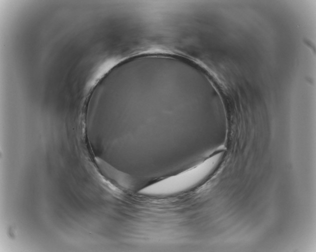 X0000097781367200803211749