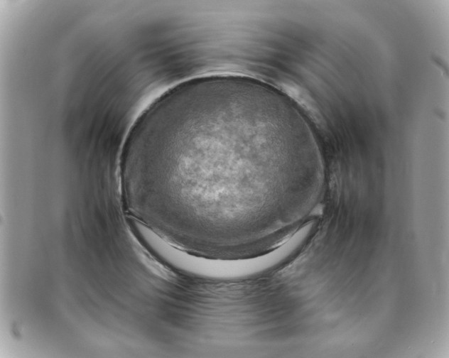 X0000097781372200803211749