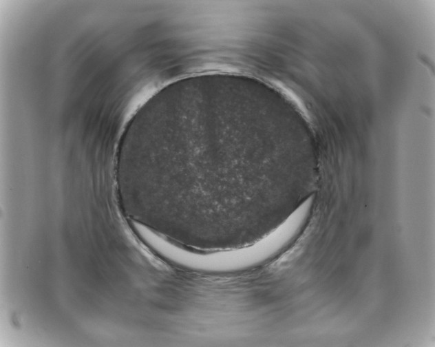 X0000097781373200803211749