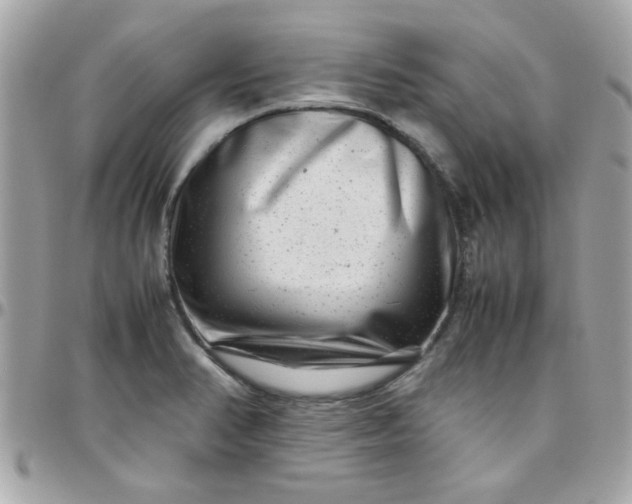 X0000097781374200803211749