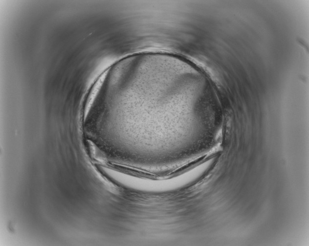 X0000097781375200803211749