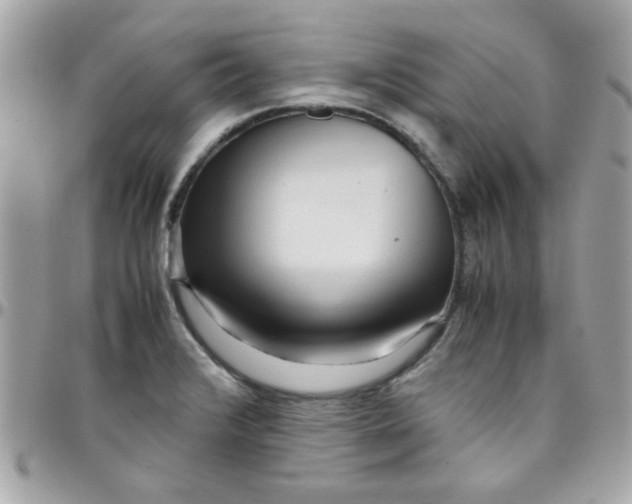 X0000097781376200803211749