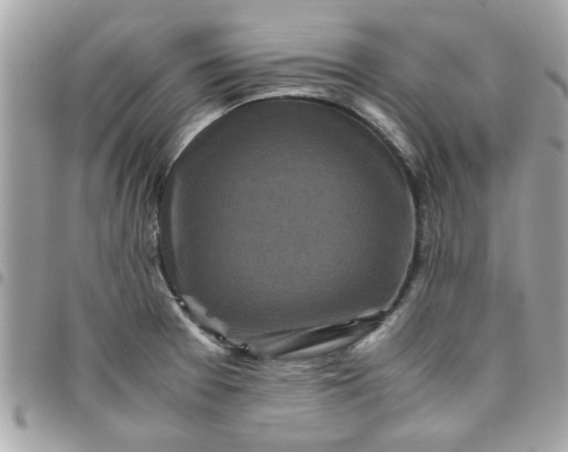 X0000097781377200803211749