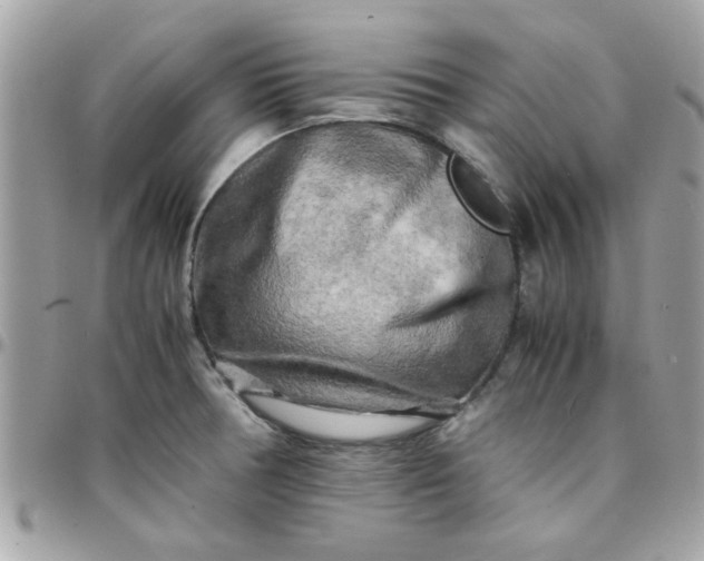 X0000097781378200803211749