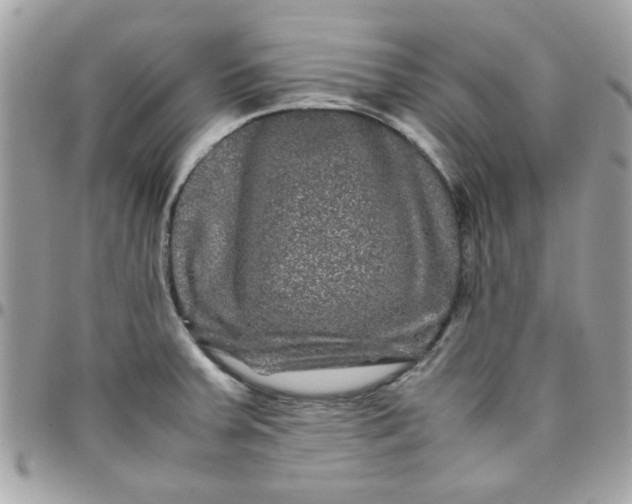 X0000097781379200803211749