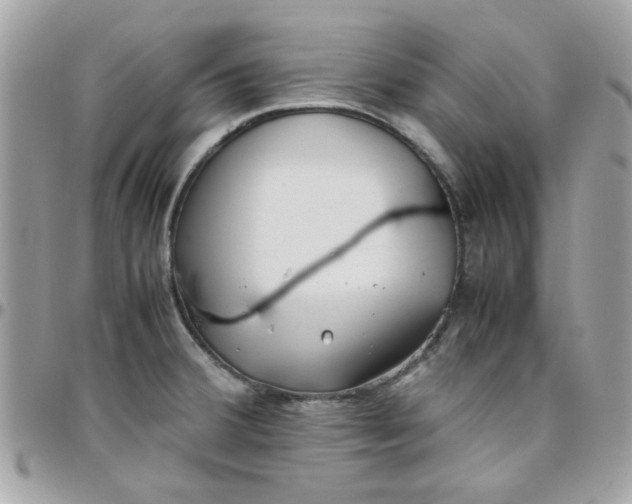 X0000097781380200803211749