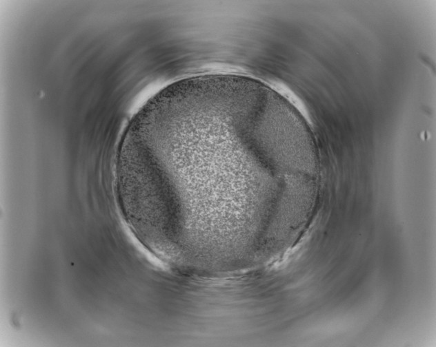 X0000097781381200803211749