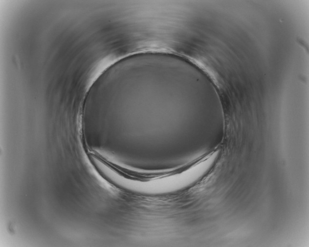 X0000097781383200803211749