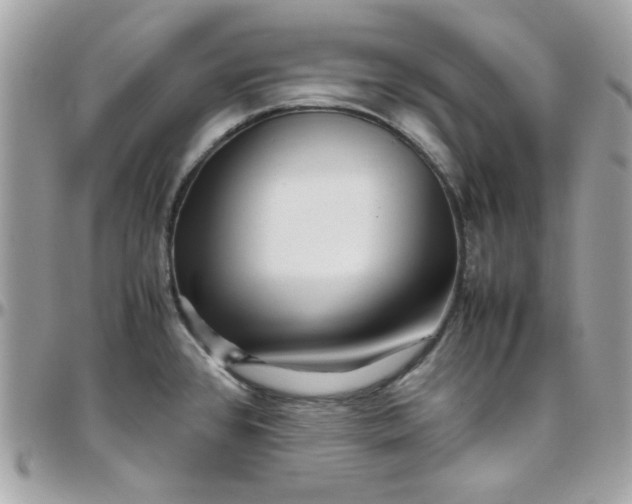 X0000097781384200803211749