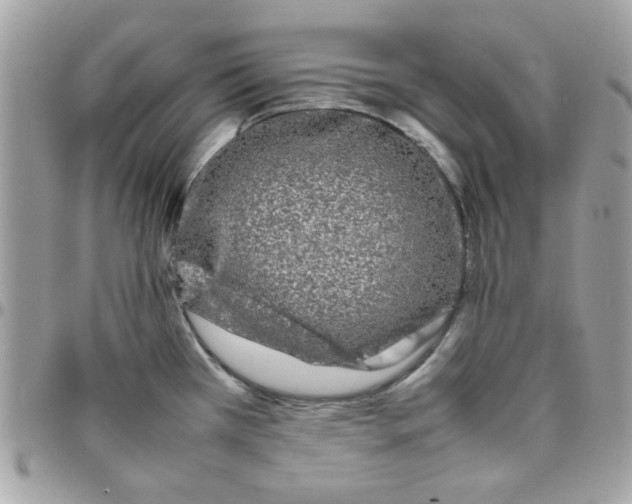 X0000097781385200803211749