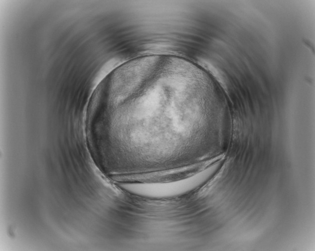 X0000097781386200803211749