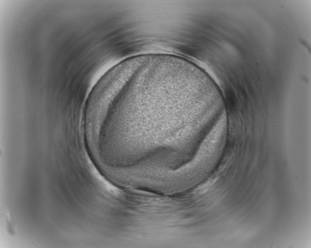 X0000097781387200803211749