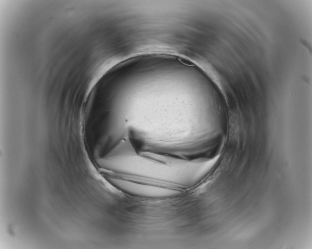 X0000097781390200803211749