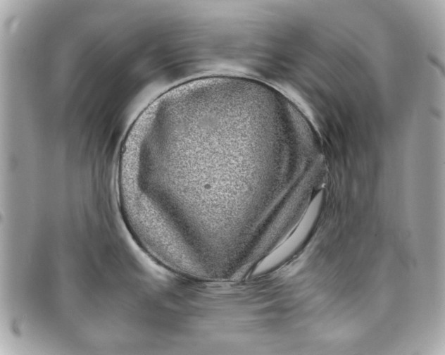 X0000097781391200803211749