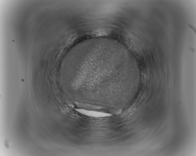 X0000097781393200803211748