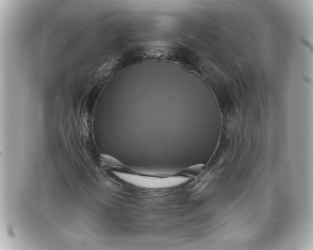 X0000097781394200803211748