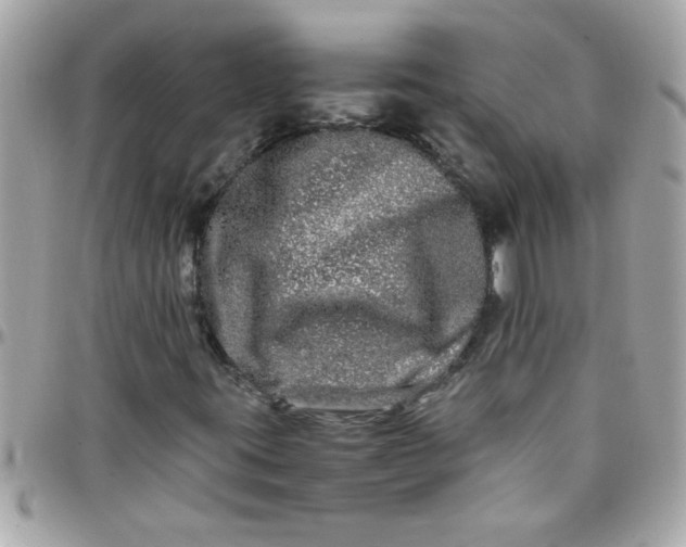 X0000097781395200803211748