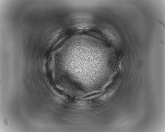 X0000097781396200803211748